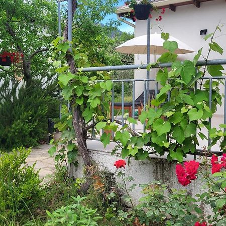 Ioannis Houses - Gemuetliches Ferienhaus Im Olivenhain Skala Potamia  Zewnętrze zdjęcie