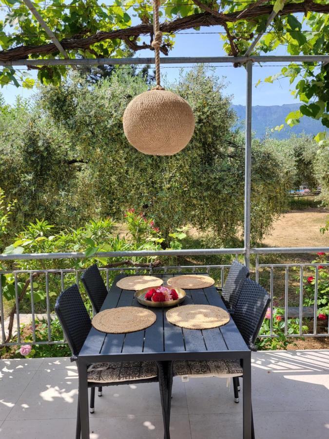Ioannis Houses - Gemuetliches Ferienhaus Im Olivenhain Skala Potamia  Zewnętrze zdjęcie